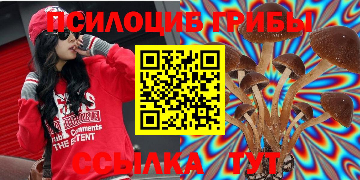 Псилоцибиновые грибы Magic Shrooms  Галлюциногенные грибы Psilocybine cubensis  Назарово  Вход с VPN 